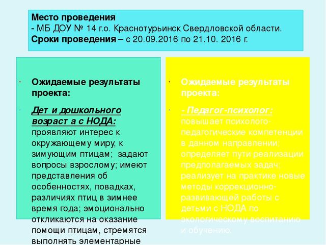 Проект-презентация «Виртуальное путешествие в мир зимующих птиц» (Группа детей с НОДА).