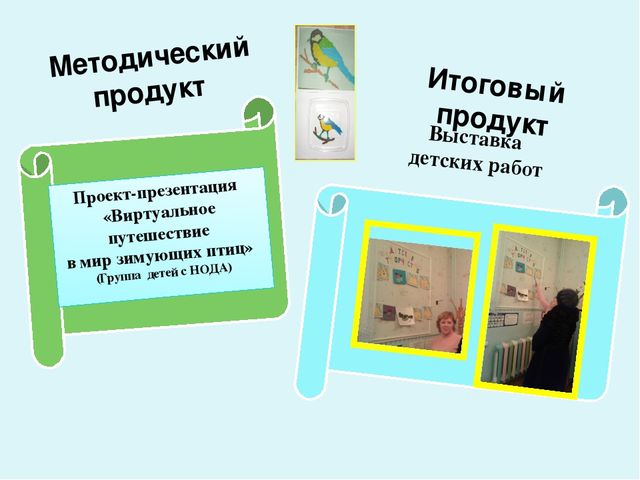 Проект-презентация «Виртуальное путешествие в мир зимующих птиц» (Группа детей с НОДА).