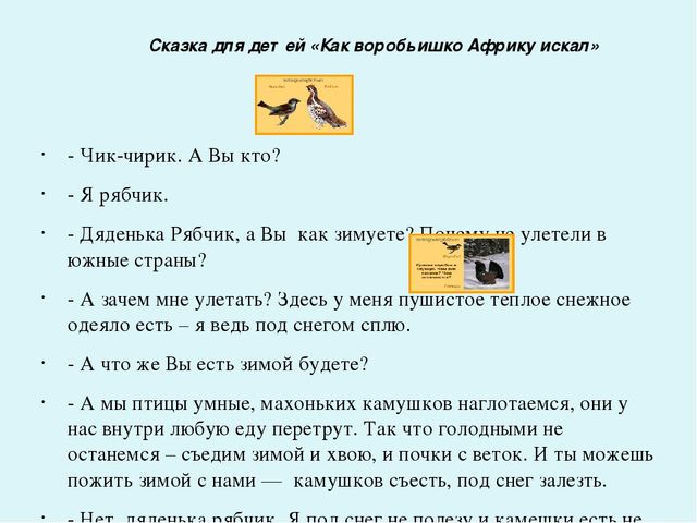 Проект-презентация «Виртуальное путешествие в мир зимующих птиц» (Группа детей с НОДА).
