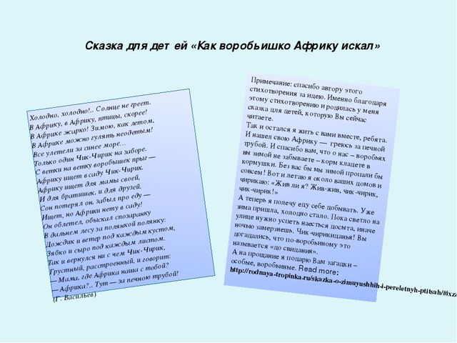 Проект-презентация «Виртуальное путешествие в мир зимующих птиц» (Группа детей с НОДА).