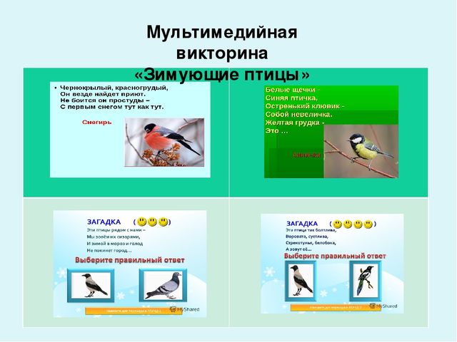 Проект-презентация «Виртуальное путешествие в мир зимующих птиц» (Группа детей с НОДА).