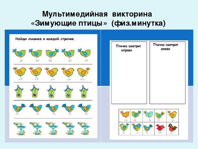 Проект-презентация «Виртуальное путешествие в мир зимующих птиц» (Группа детей с НОДА).