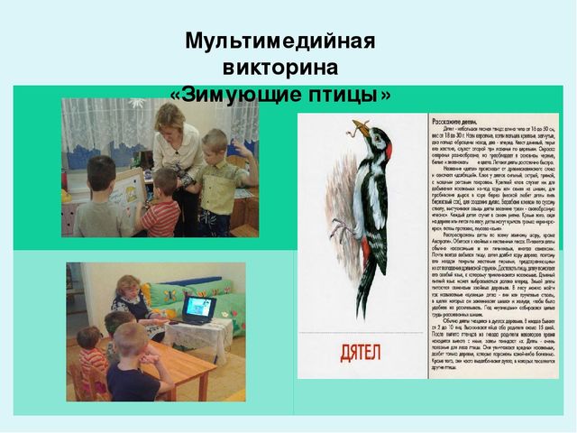 Проект-презентация «Виртуальное путешествие в мир зимующих птиц» (Группа детей с НОДА).