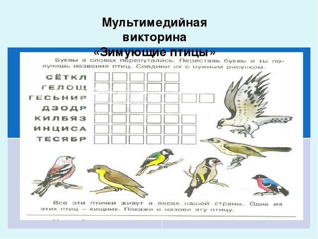 Проект-презентация «Виртуальное путешествие в мир зимующих птиц» (Группа детей с НОДА).