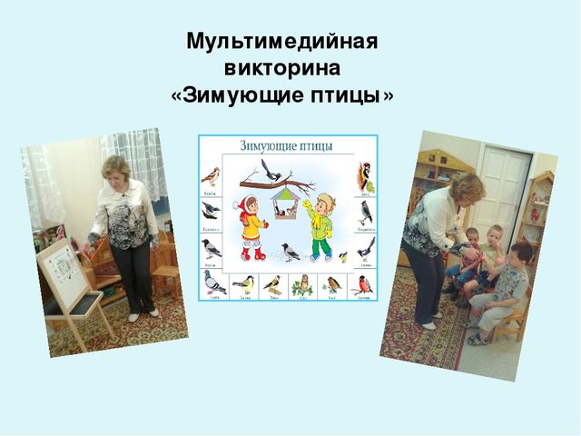 Проект-презентация «Виртуальное путешествие в мир зимующих птиц» (Группа детей с НОДА).
