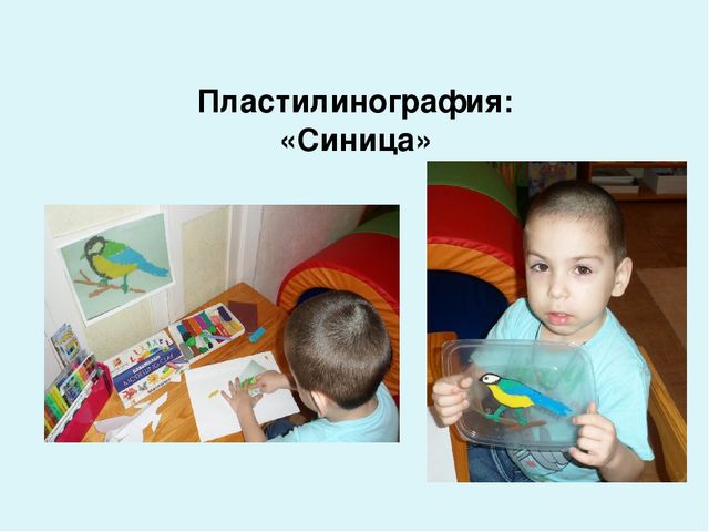 Проект-презентация «Виртуальное путешествие в мир зимующих птиц» (Группа детей с НОДА).