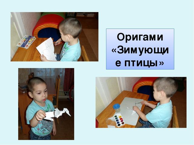 Проект-презентация «Виртуальное путешествие в мир зимующих птиц» (Группа детей с НОДА).