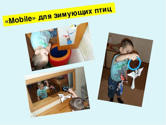 Проект-презентация «Виртуальное путешествие в мир зимующих птиц» (Группа детей с НОДА).