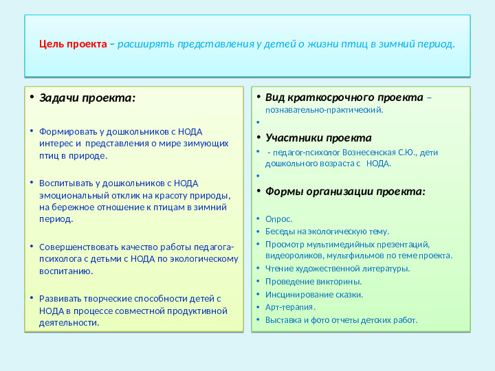 Проект-презентация «Виртуальное путешествие в мир зимующих птиц» (Группа детей с НОДА).