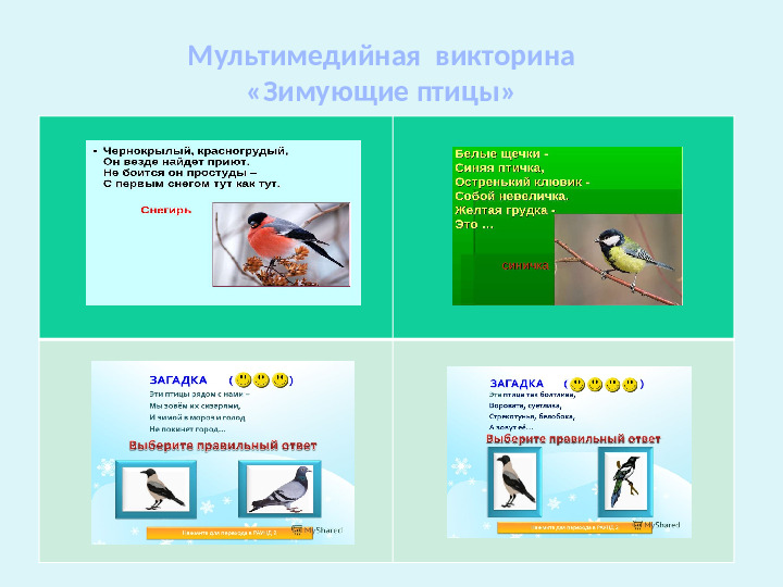 Проект-презентация «Виртуальное путешествие в мир зимующих птиц» (Группа детей с НОДА).