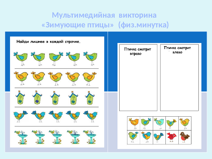 Проект-презентация «Виртуальное путешествие в мир зимующих птиц» (Группа детей с НОДА).
