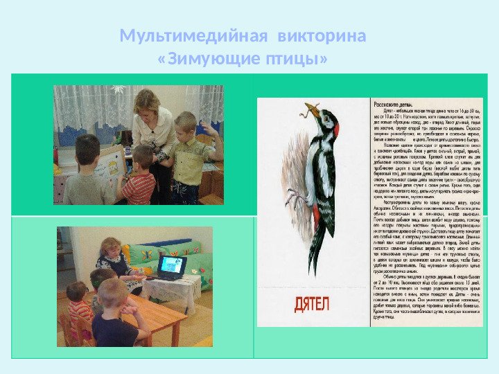 Проект-презентация «Виртуальное путешествие в мир зимующих птиц» (Группа детей с НОДА).