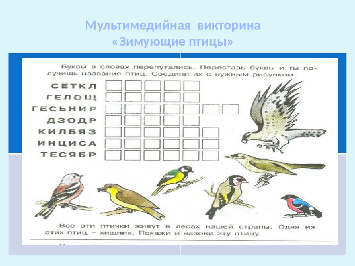 Проект-презентация «Виртуальное путешествие в мир зимующих птиц» (Группа детей с НОДА).