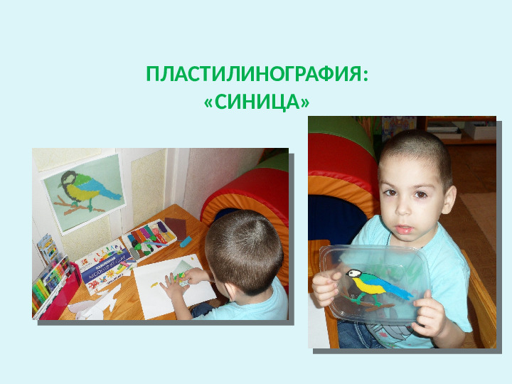 Проект-презентация «Виртуальное путешествие в мир зимующих птиц» (Группа детей с НОДА).