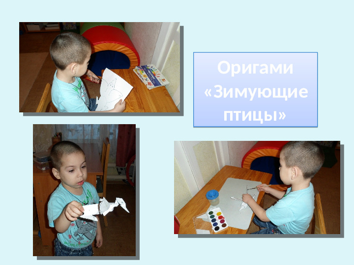 Проект-презентация «Виртуальное путешествие в мир зимующих птиц» (Группа детей с НОДА).