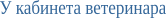 Shape19