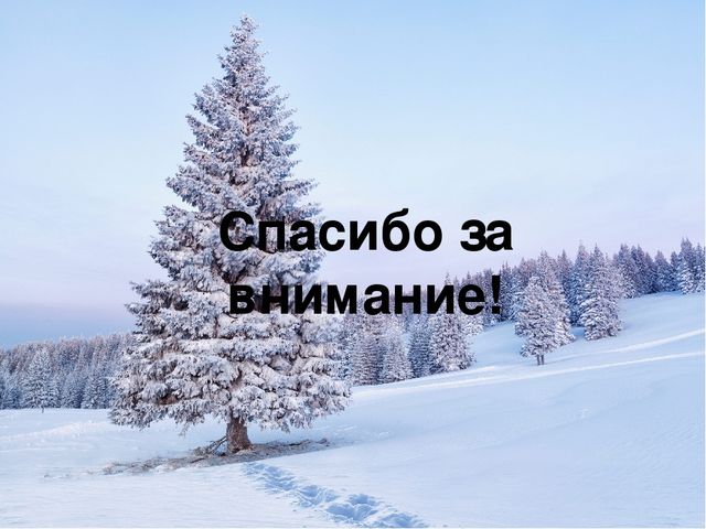 Виртуальная экскурсия по городу Сыктывкару