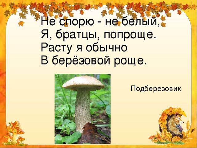 Презентация для дошкольников "Грибное лукошко"