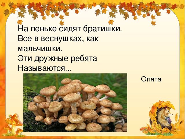 Презентация для дошкольников "Грибное лукошко"
