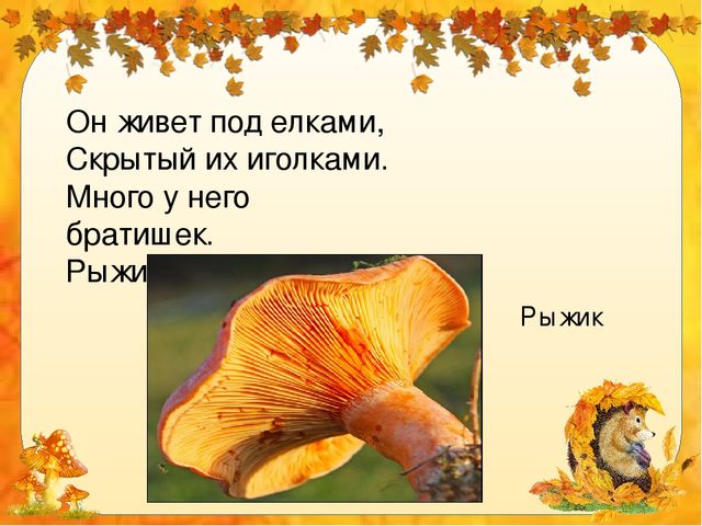 Презентация для дошкольников "Грибное лукошко"