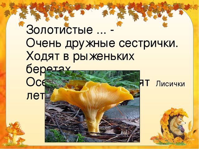 Презентация для дошкольников "Грибное лукошко"