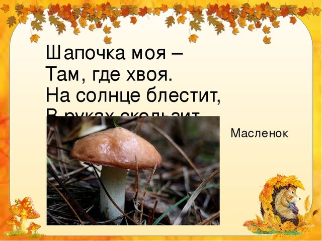 Презентация для дошкольников "Грибное лукошко"