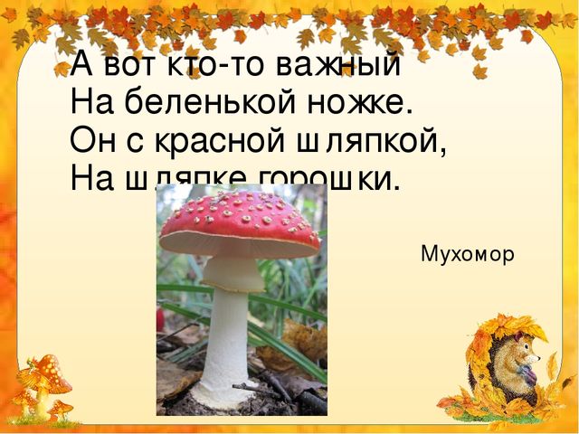Презентация для дошкольников "Грибное лукошко"