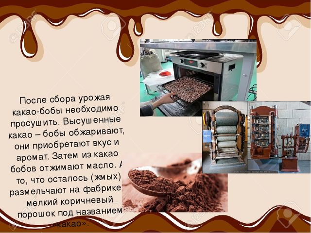 Презентация. Исследовательская деятельность: «Все в шоколаде»