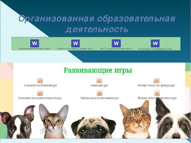 Презентация. Тема: «Портфолио воспитателя Валеевой М.А.»