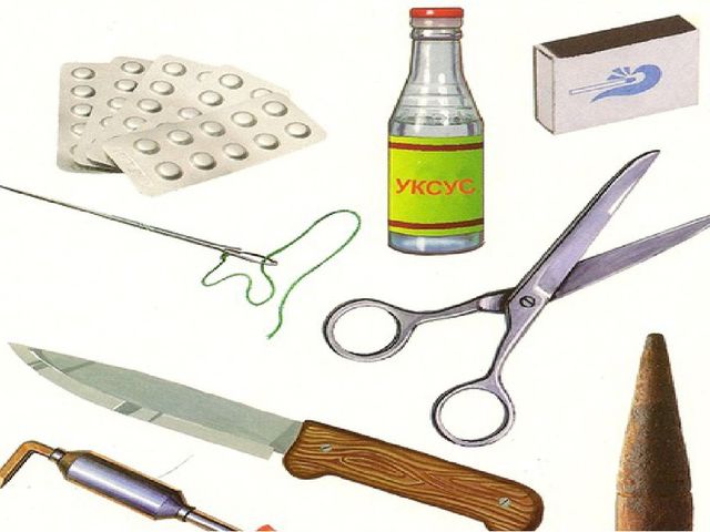 Тіл дамыту пәнінен "Отбасы" тақырыбында презентация