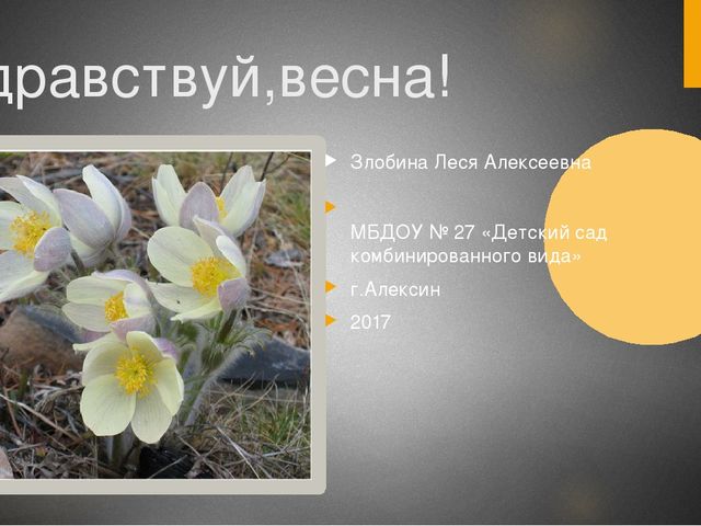 Презентация для средней группы "Здравствуй,весна!"