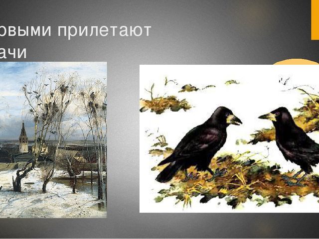 Презентация для средней группы "Здравствуй,весна!"