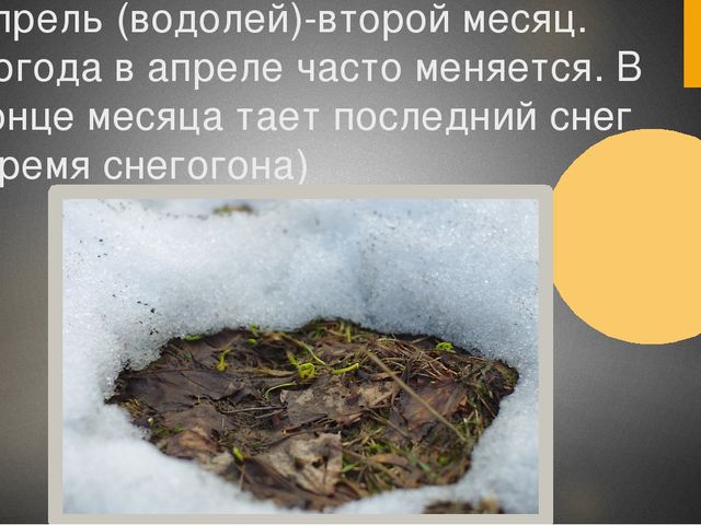 Презентация для средней группы "Здравствуй,весна!"