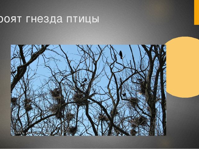 Презентация для средней группы "Здравствуй,весна!"