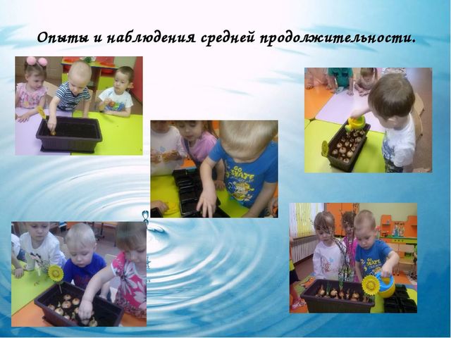 Экспериментальная деятельность "РАЗВИТИЕ ИССЛЕДОВАТЕЛЬСКИХ УМЕНИЙ У ДОШКОЛЬНИКОВ ЧЕРЕЗ ЭКСПЕРИМЕНТАЛЬНУЮ ДЕЯТЕЛЬНОСТЬ"