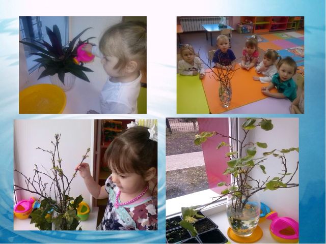 Экспериментальная деятельность "РАЗВИТИЕ ИССЛЕДОВАТЕЛЬСКИХ УМЕНИЙ У ДОШКОЛЬНИКОВ ЧЕРЕЗ ЭКСПЕРИМЕНТАЛЬНУЮ ДЕЯТЕЛЬНОСТЬ"
