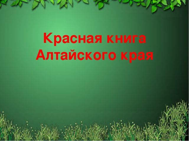 Презентация "Красная книга Алтайского края"