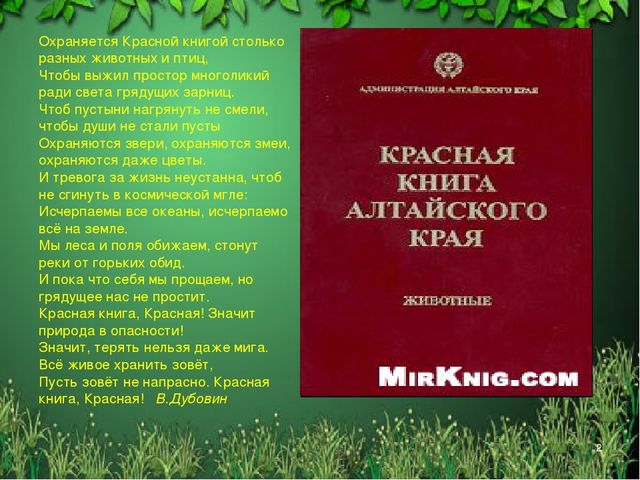 Презентация "Красная книга Алтайского края"