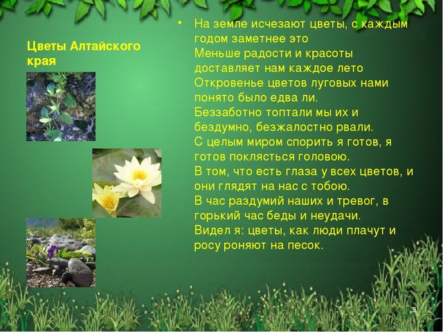 Презентация "Красная книга Алтайского края"
