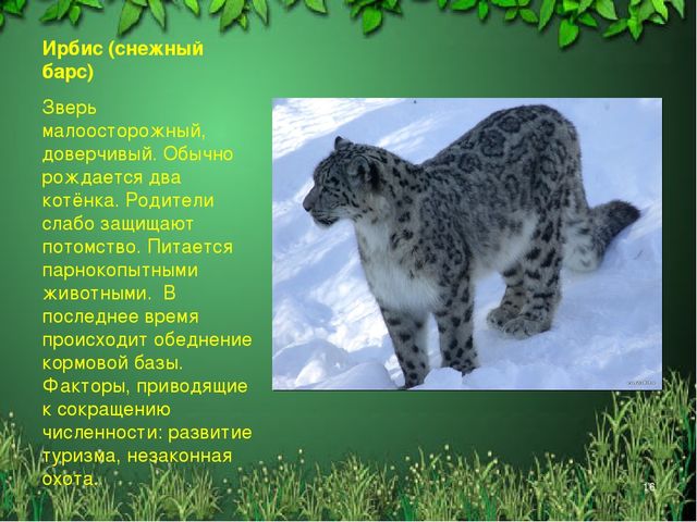 Презентация "Красная книга Алтайского края"