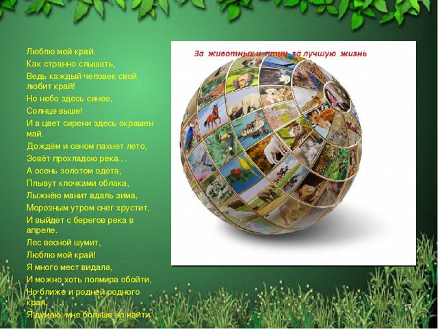 Презентация "Красная книга Алтайского края"