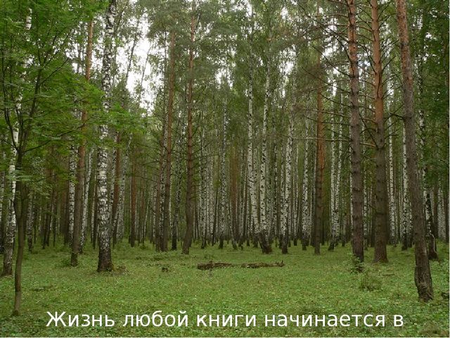Презентация к НОД по познавательно-исследов.деятельности "Откуда книга к нам пришла"