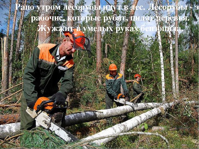 Презентация к НОД по познавательно-исследов.деятельности "Откуда книга к нам пришла"