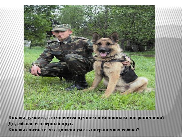 Презентация «С верным другом на границе»