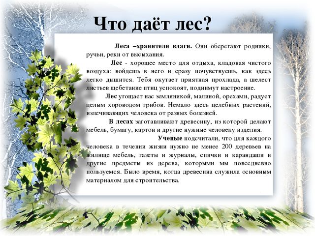 Презентация на тему: "ЖИЗНЬ ЛЕСА" старший дошкольный возраст