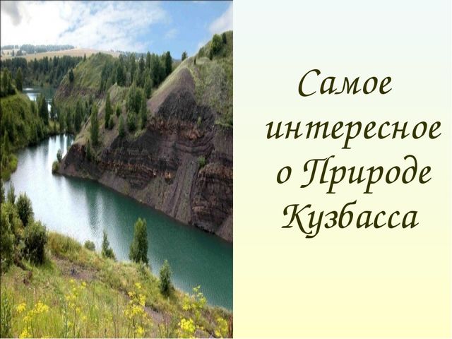 Природа кузбасса презентация