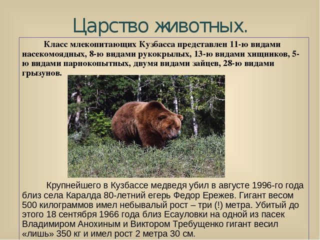 Презентация для лектория в краеведческом музее "Самое интересное о природе Кузбасса"