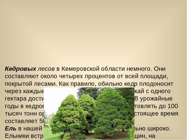 Презентация для лектория в краеведческом музее "Самое интересное о природе Кузбасса"