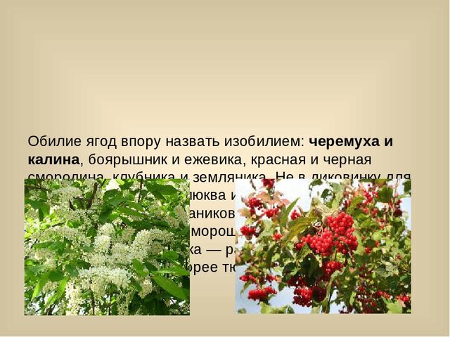 Презентация для лектория в краеведческом музее "Самое интересное о природе Кузбасса"