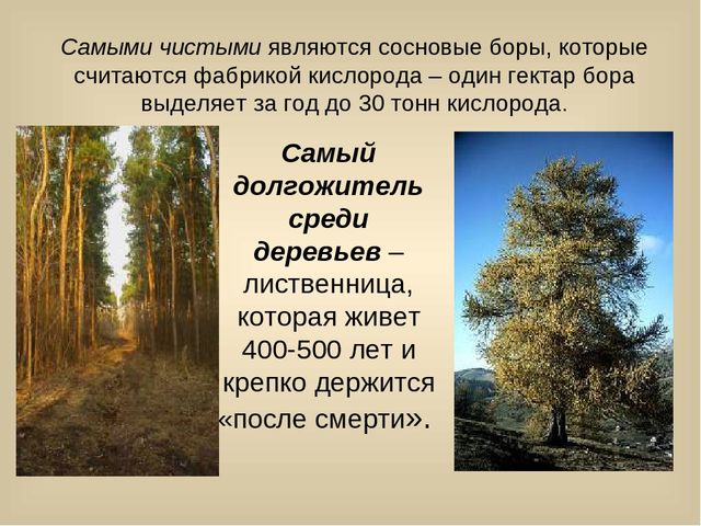 Презентация для лектория в краеведческом музее "Самое интересное о природе Кузбасса"